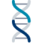 Illustrated icon of a DNA strand in various shades of blue and grey