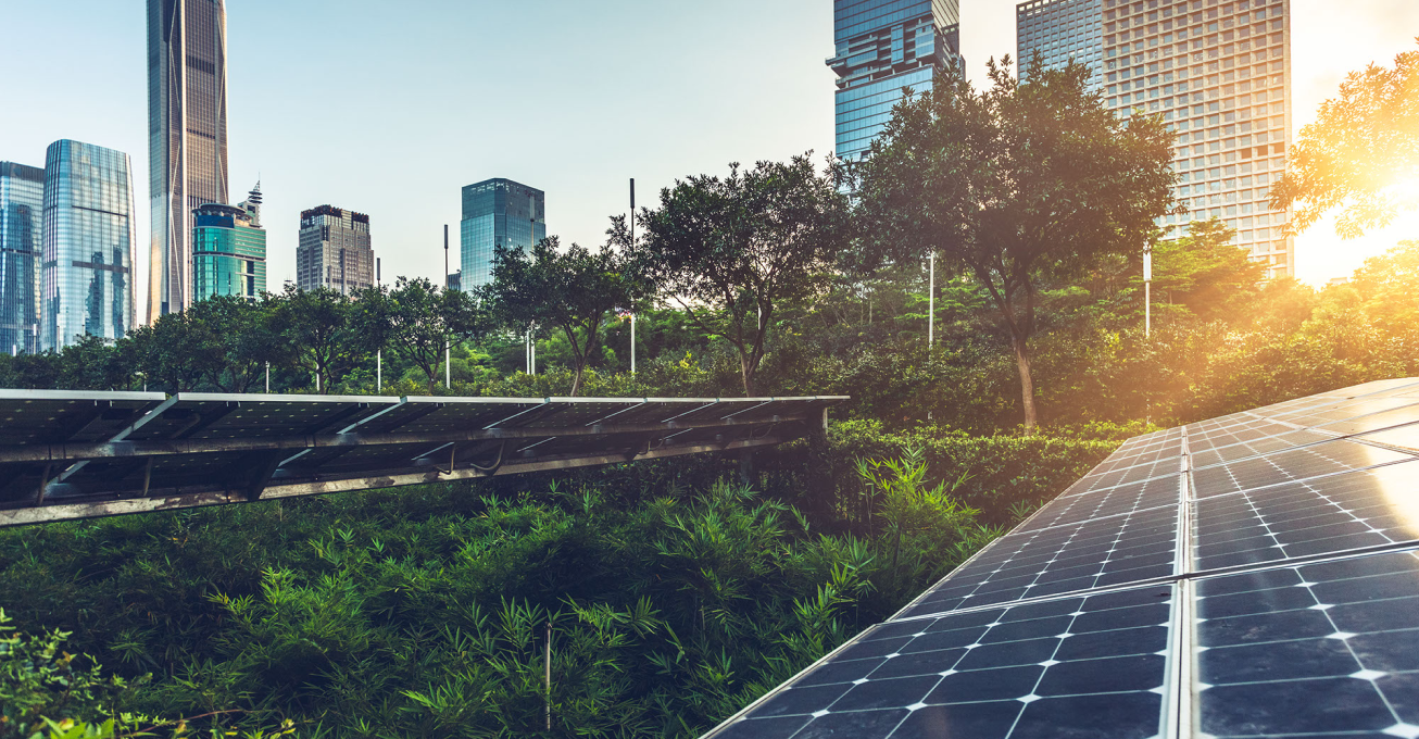 A stock image of a solar farm with a city skyline in the background