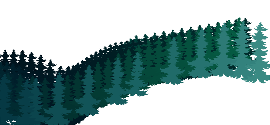 Terrestrial plant, Natural landscape, Tree, Organism, Slope, Vegetation, Evergreen, Font